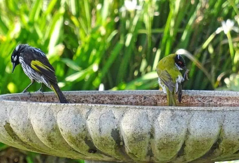 Austiny Bed And Breakfast Victor Harbor