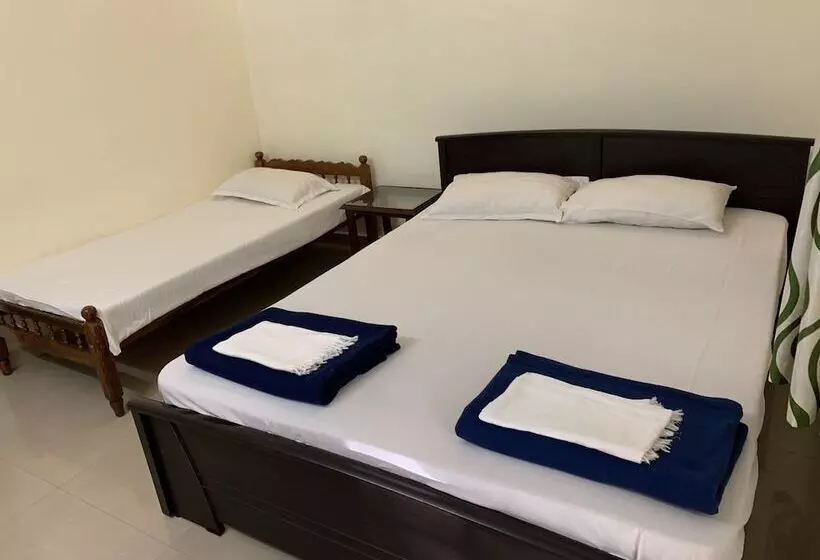 Bed and Breakfast Palmgrove Service Villa