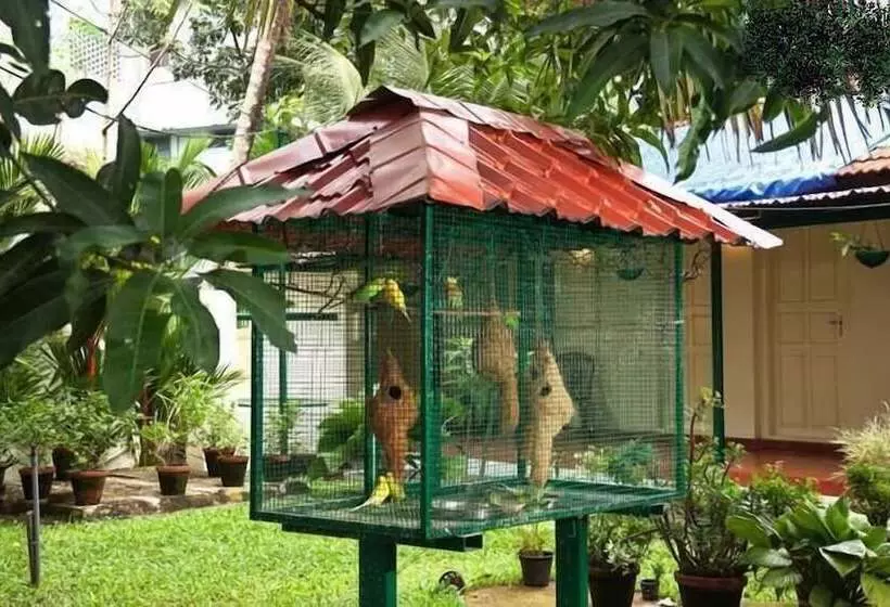 Bed and Breakfast Palmgrove Service Villa