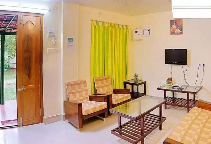 Bed and Breakfast Palmgrove Service Villa