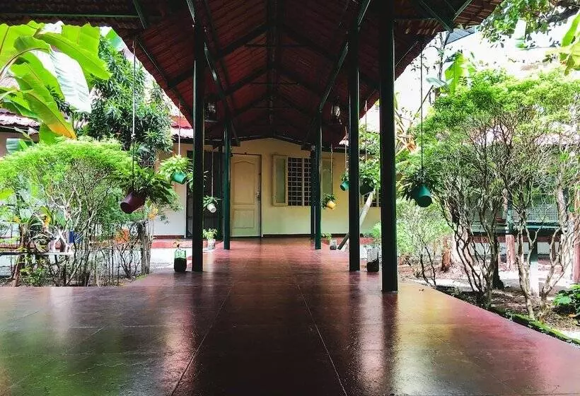 Bed and Breakfast Palmgrove Service Villa