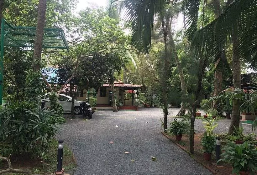 Bed and Breakfast Palmgrove Service Villa