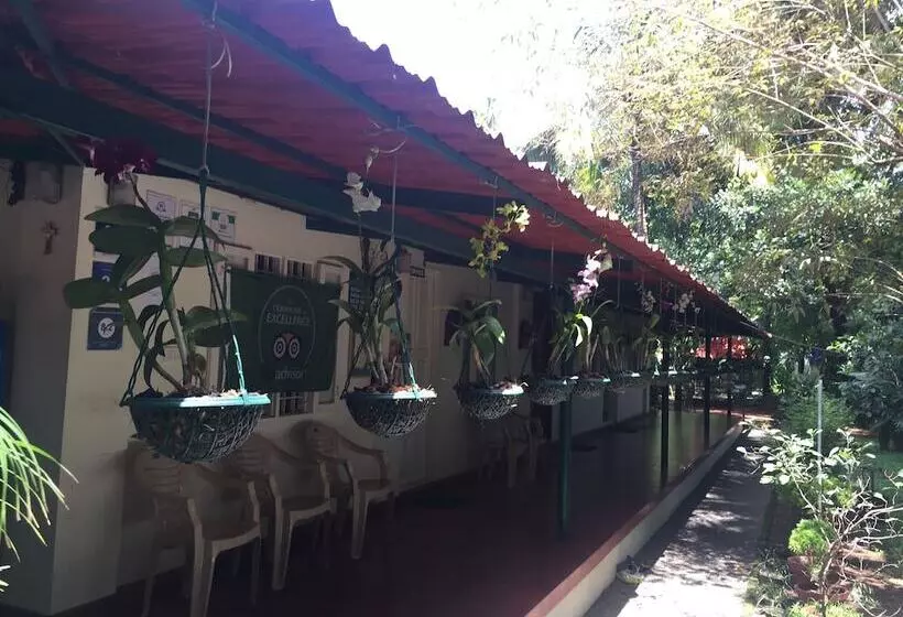 Bed and Breakfast Palmgrove Service Villa