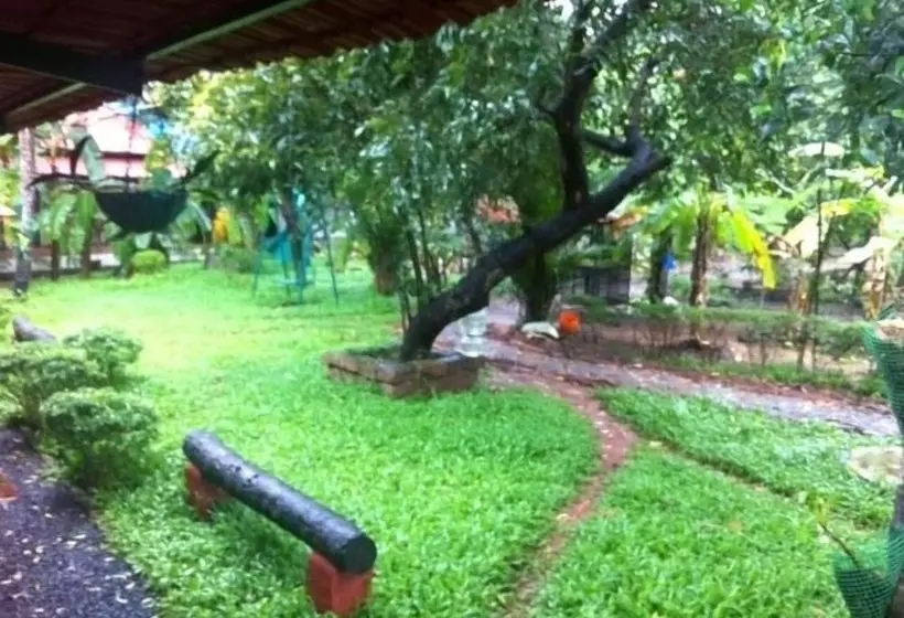 Bed and Breakfast Palmgrove Service Villa