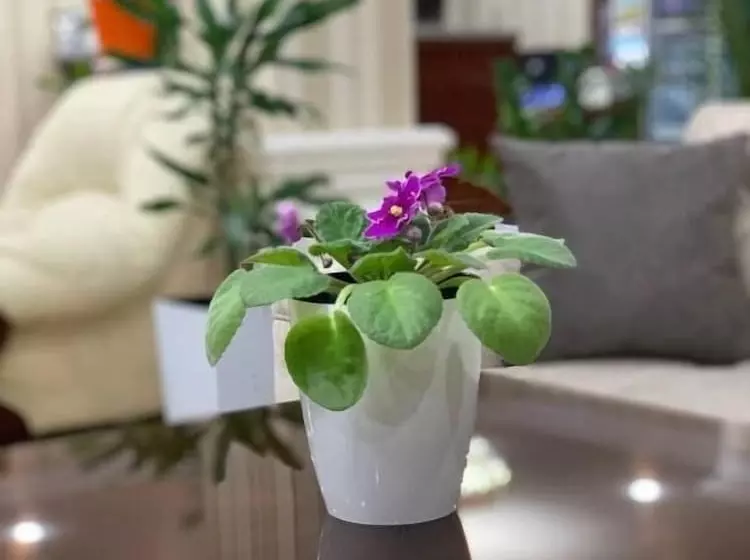 ホテル City Samarkand