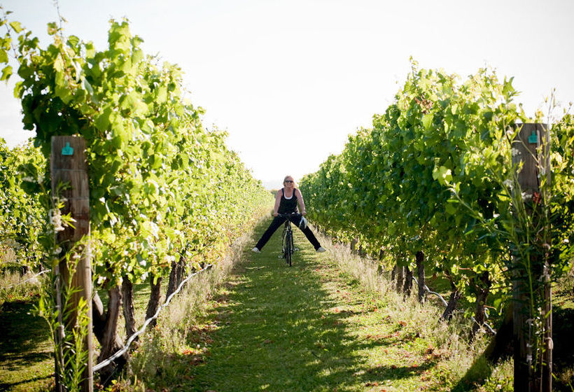 فندق Havelock House