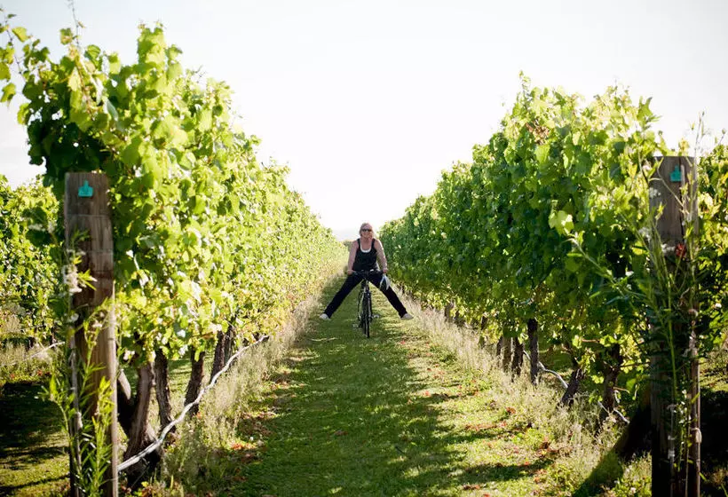 호텔 Havelock House