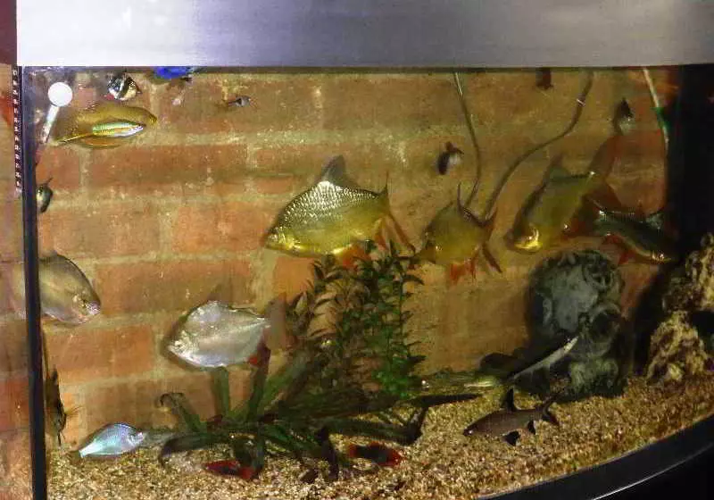 酒店 The Old Station House