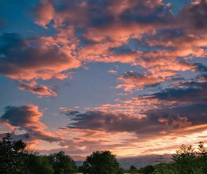 Hotel Logierait Pine Lodges