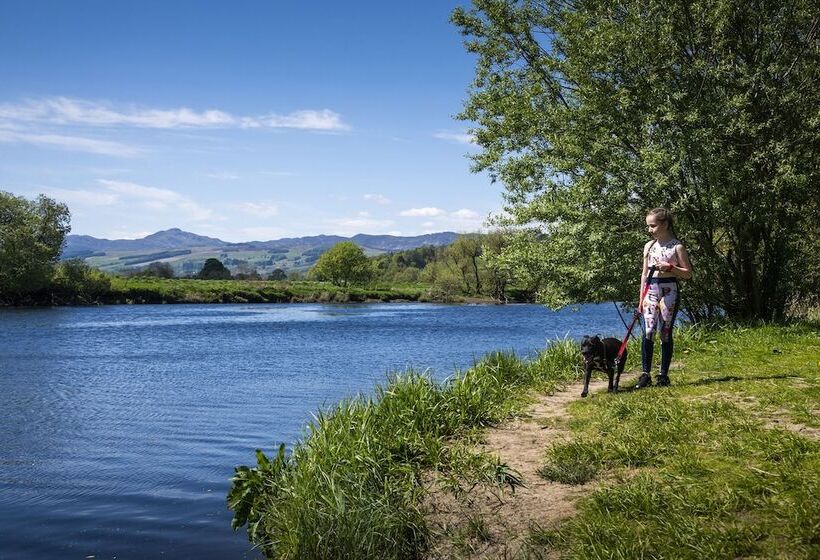 Hotel Logierait Pine Lodges