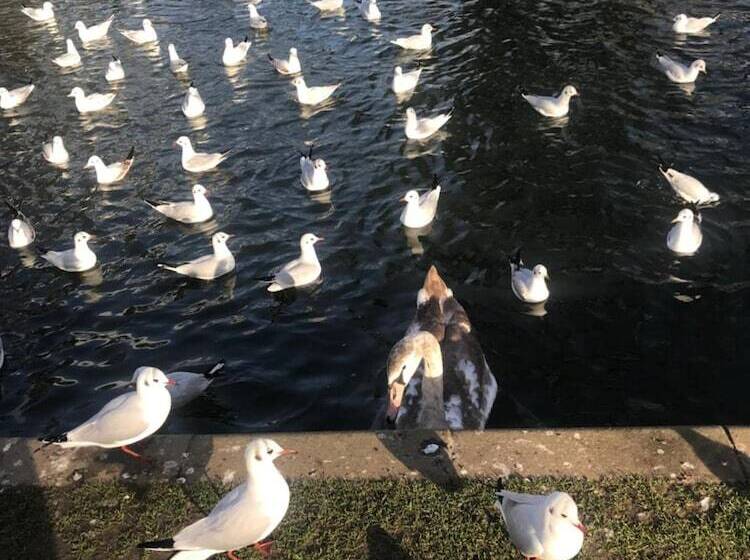 Отель New Oscar