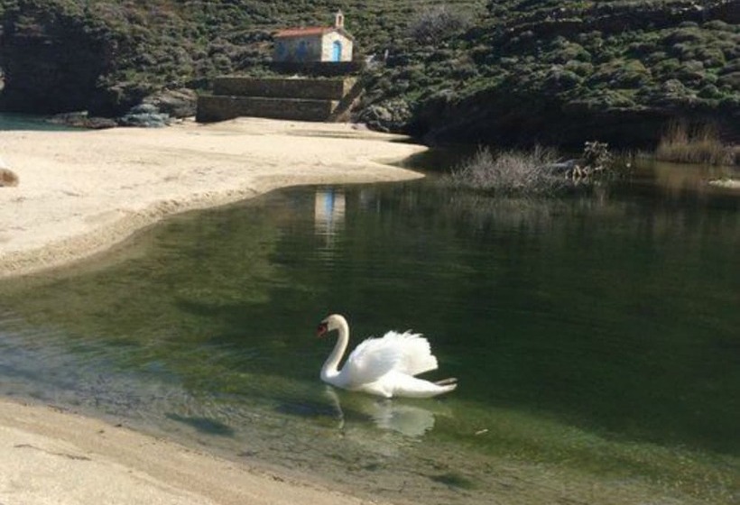 Отель Onar Andros