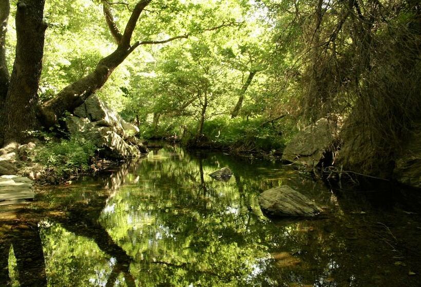 Отель Onar Andros