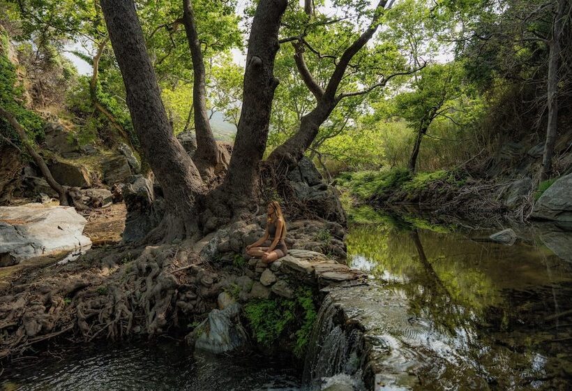 Отель Onar Andros