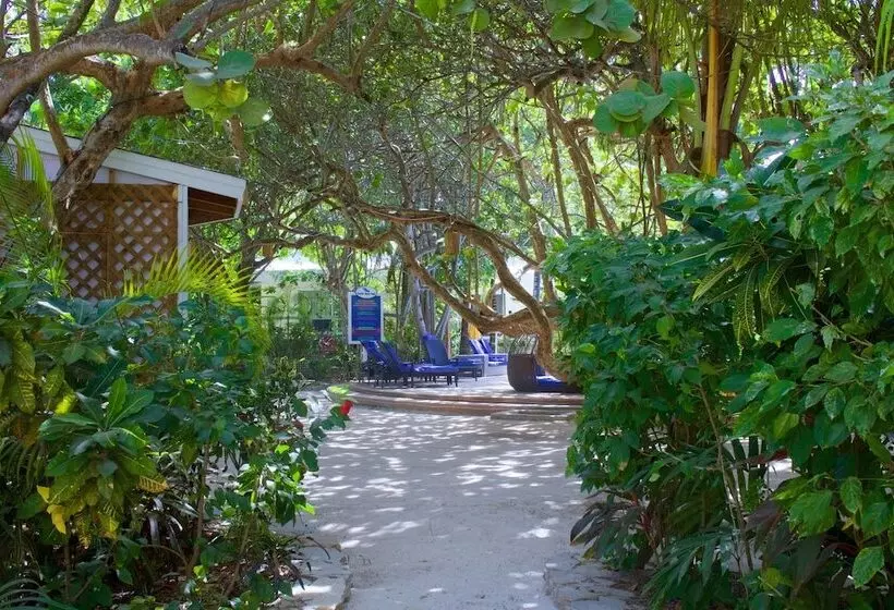 Paradise Beach Hotel & Resort