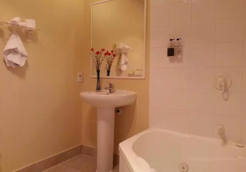 Motel New Castle Motor Lodge