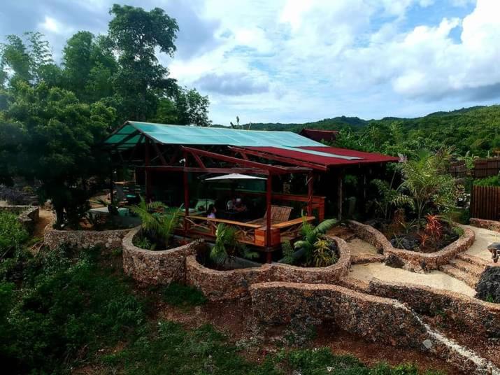 Bed and Breakfast Jungle Of Peace