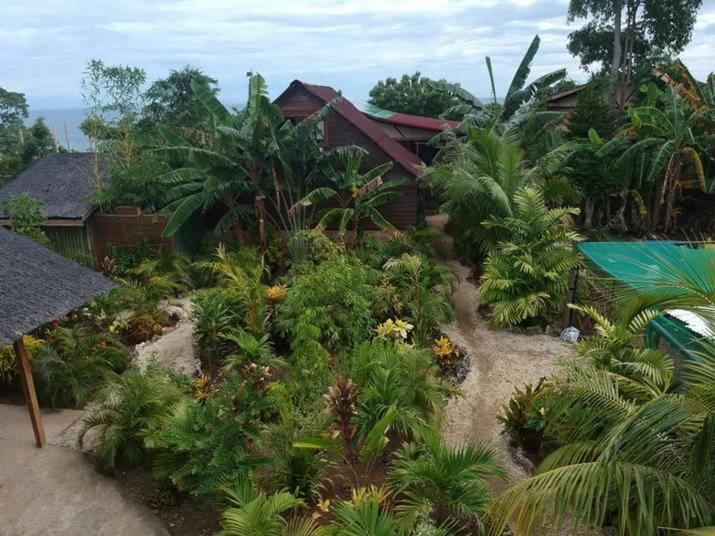 Bed and Breakfast Jungle Of Peace