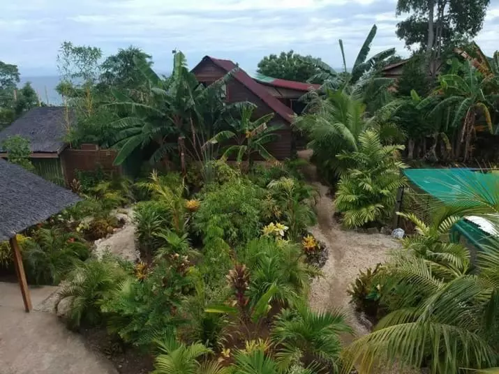 Aamiaismajoitus (B&B) Jungle Of Peace