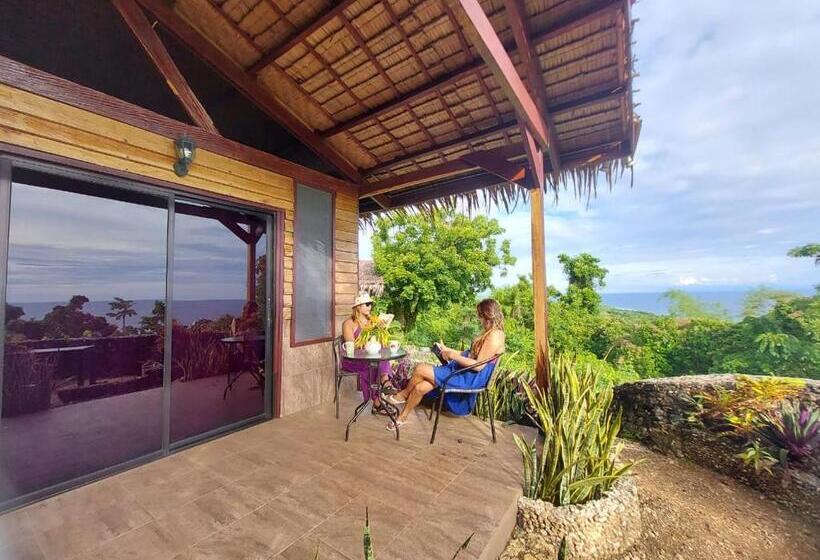 Bed and Breakfast Jungle Of Peace