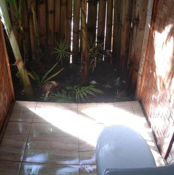 Bed and Breakfast Jungle Of Peace