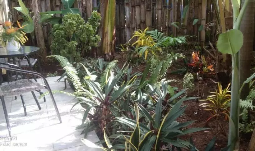 Aamiaismajoitus (B&B) Jungle Of Peace