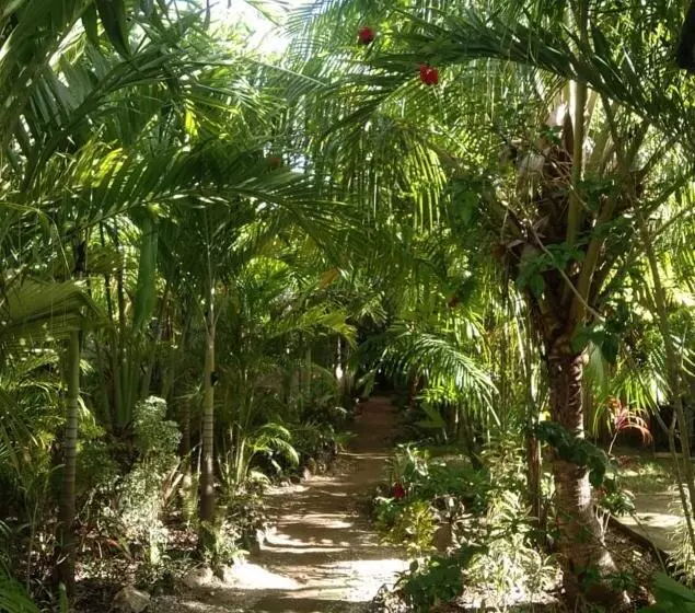 Aamiaismajoitus (B&B) Jungle Of Peace