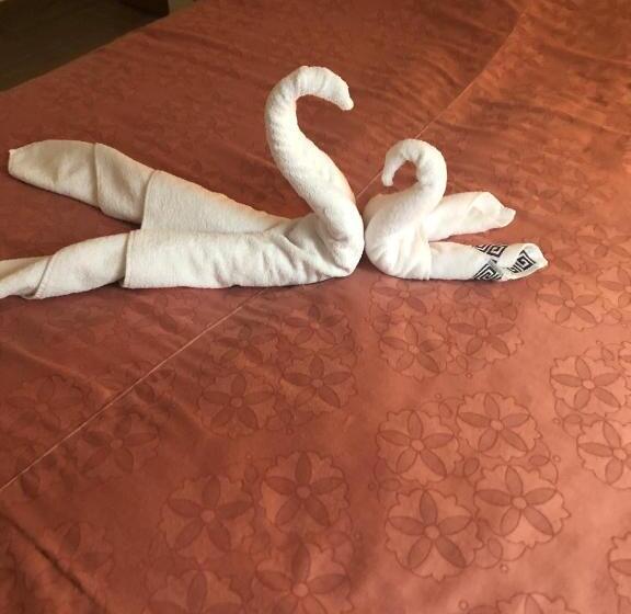 호스텔 Pensiunea El Greco