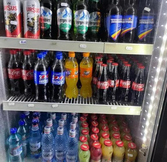 Retkeilymaja Pensiunea El Greco