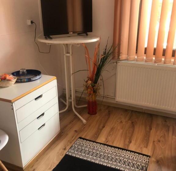 호스텔 Pensiunea El Greco