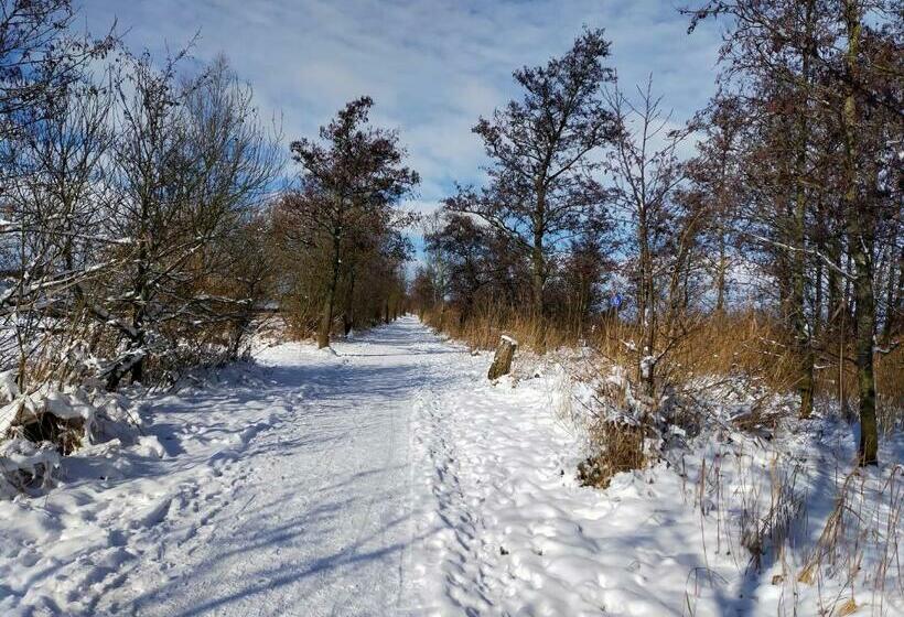 Bed and Breakfast Het Kraaienbosch