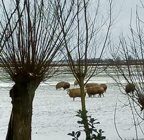 Bed and Breakfast Het Kraaienbosch