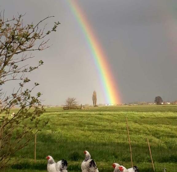 Bed and Breakfast Het Kraaienbosch