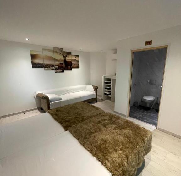 ベッドアンドブレックファースト Le Lodge Du Pichat