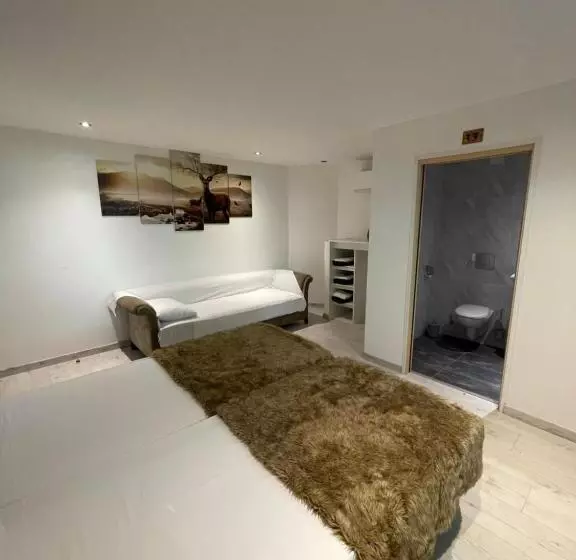 ベッドアンドブレックファースト Le Lodge Du Pichat