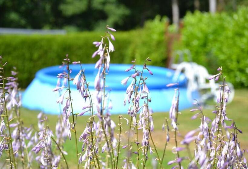 ベッドアンドブレックファースト The Little Paradise Naturist Only!