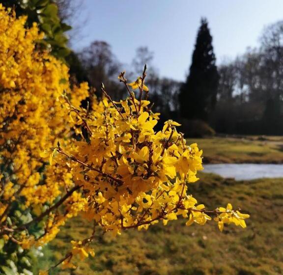 ベッドアンドブレックファースト The Little Paradise Naturist Only!