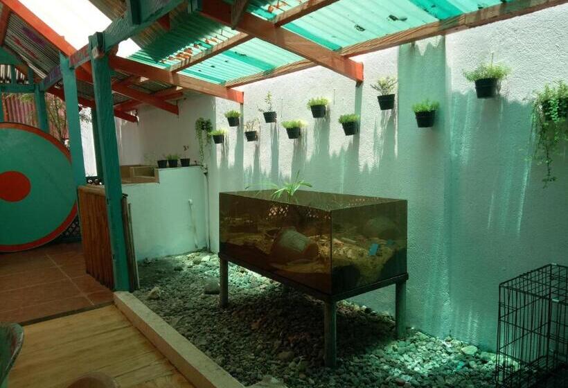 فندق Smallfry S Beach Resort