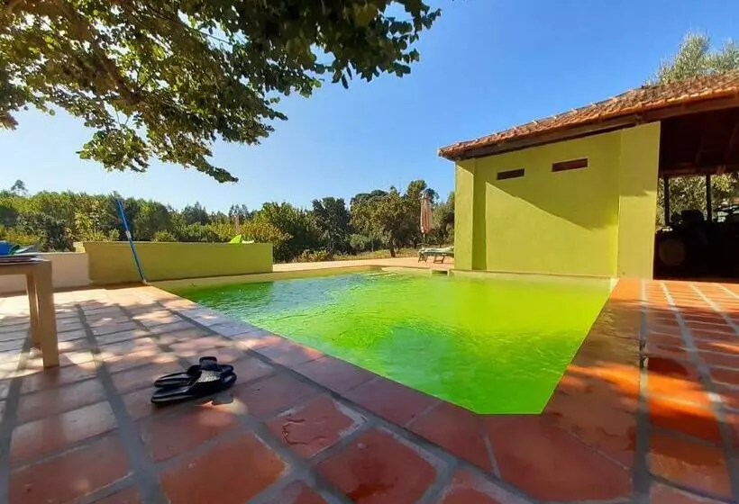 B&b Casa Das Eiras