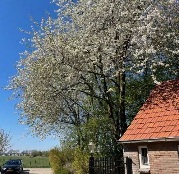 B&b Driel