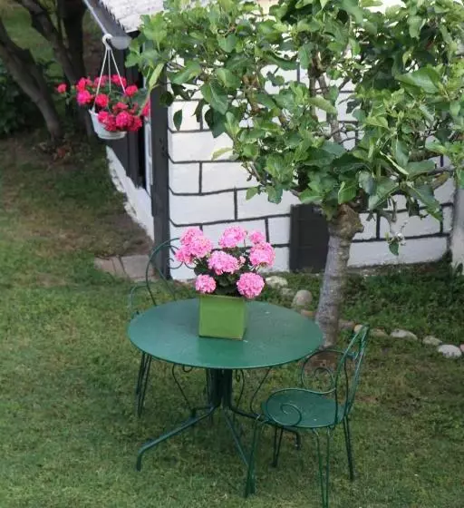 B&b Insolite Entre Lyon Et Aéroport