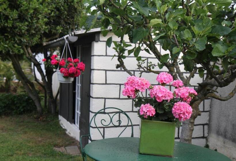 B&b Insolite Entre Lyon Et Aéroport