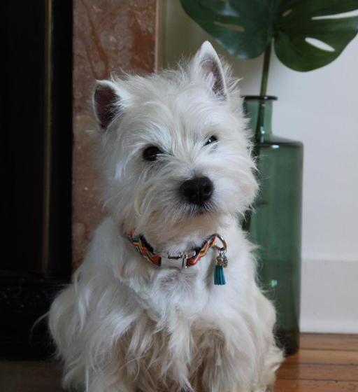 B&b Insolite Entre Lyon Et Aéroport