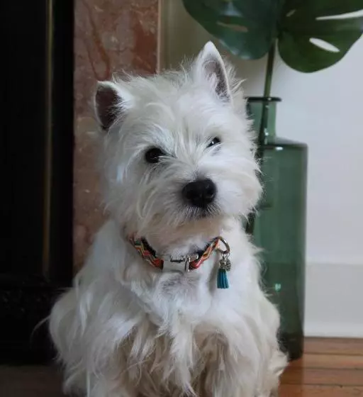 B&b Insolite Entre Lyon Et Aéroport