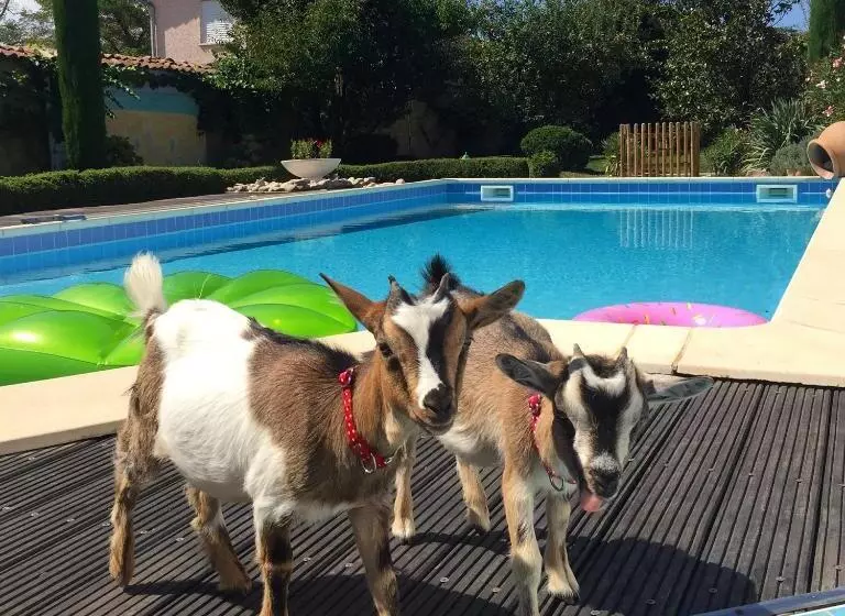 B&b Insolite Entre Lyon Et Aéroport