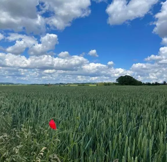 Aamiaismajoitus (B&B) A Little Peace And Quiet