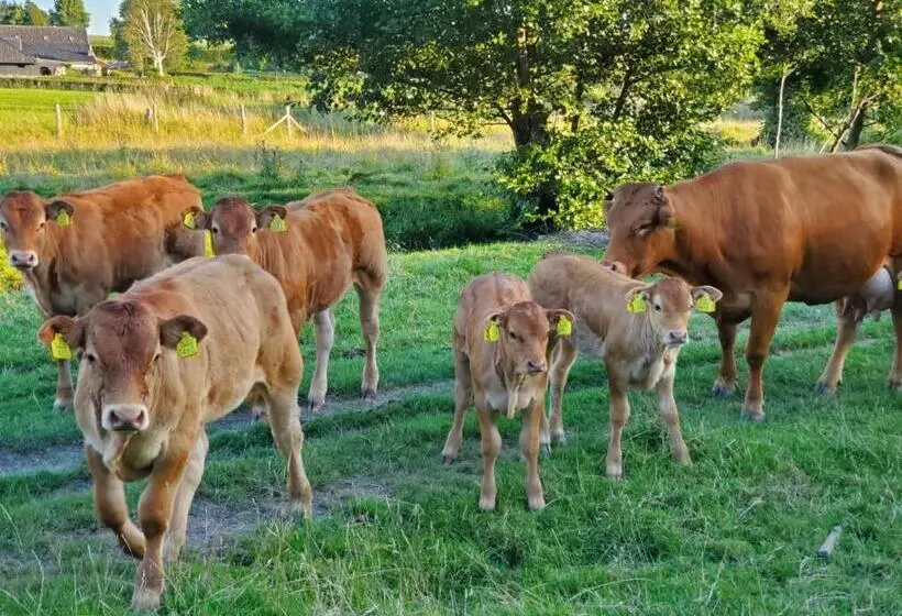 Aamiaismajoitus (B&B) A Little Peace And Quiet