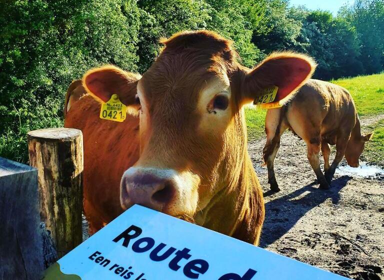 צימר A Little Peace And Quiet