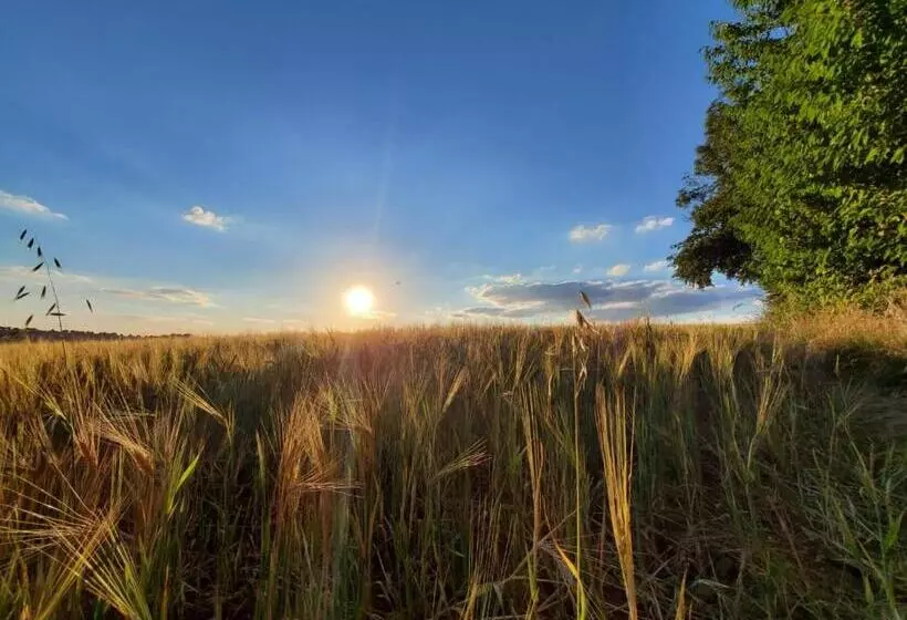 Aamiaismajoitus (B&B) A Little Peace And Quiet