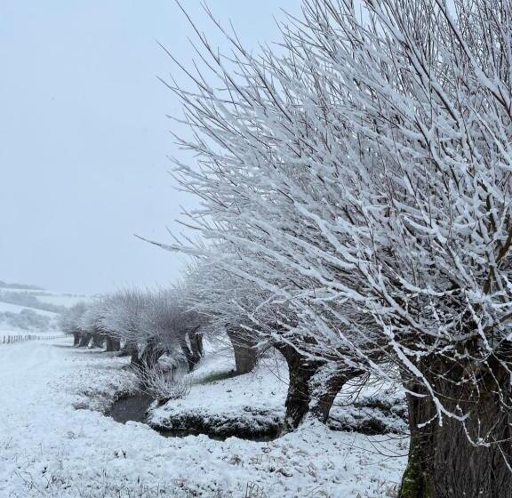 צימר A Little Peace And Quiet
